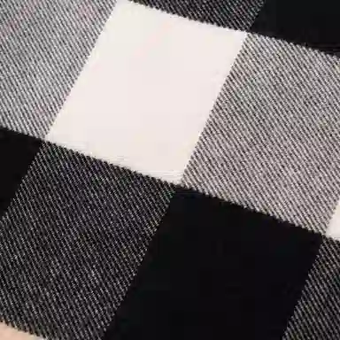 Burberry Cape Jacket