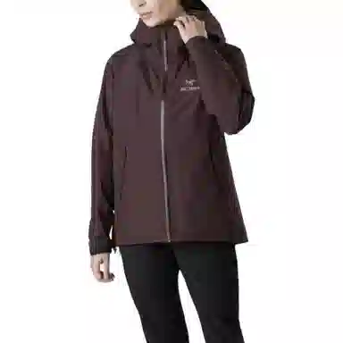 Arcteryx Beta LT Jacket