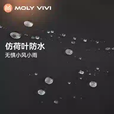 MOLY VIVI 2023
