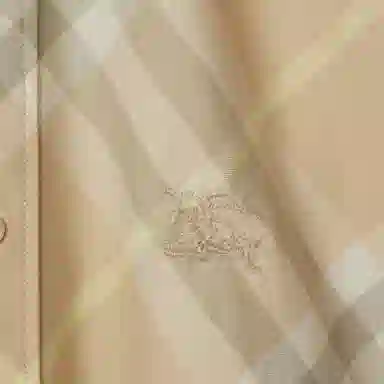 Burberry Checked Collar Shirt Brown