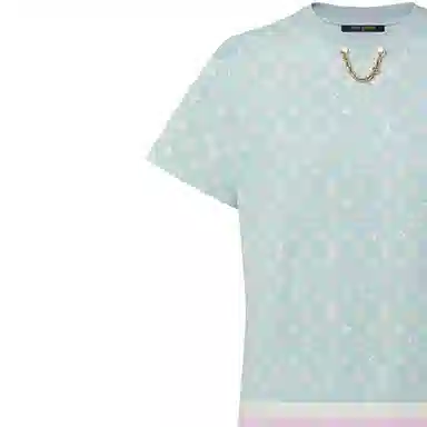 LOUIS VUITTON FW23 LogoT