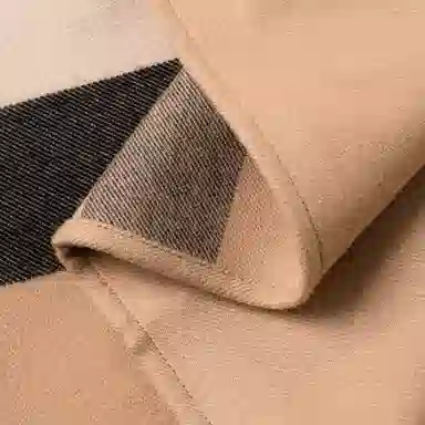 Burberry Cape Jacket