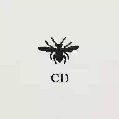 DIOR FW24 Logo T