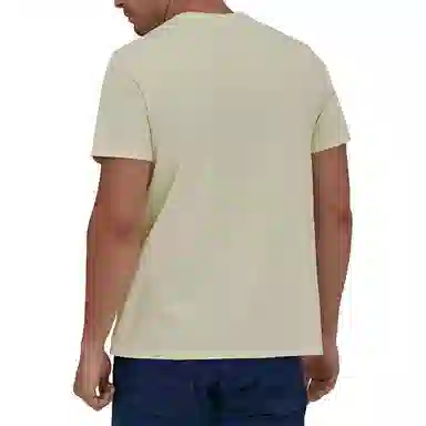 Patagonia P-6 Mission Organic Tee