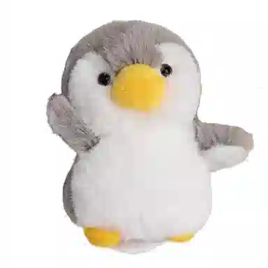 12cm16cm