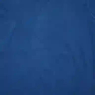 Polo Ralph Lauren LogoT