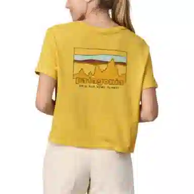 patagonia T