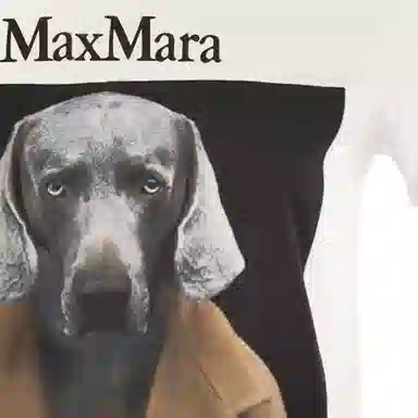 MaxMara T