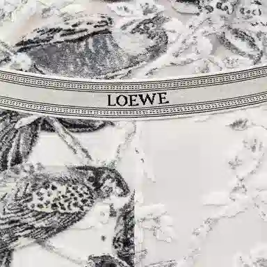 LOEWE SS24