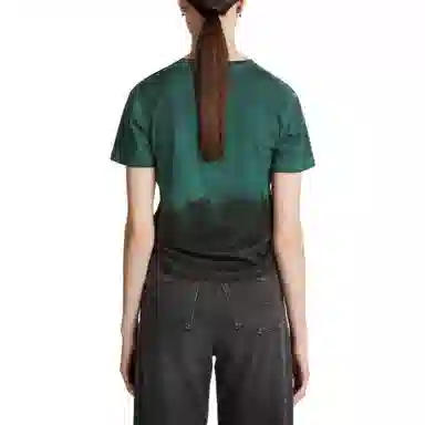 DIOR T