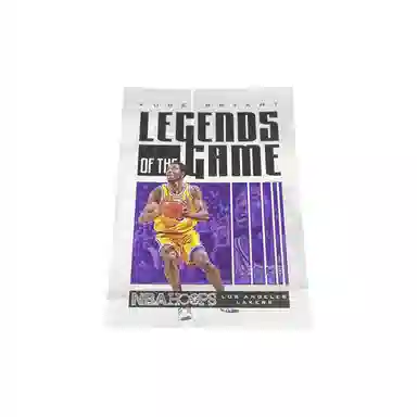 PANINI Hoops