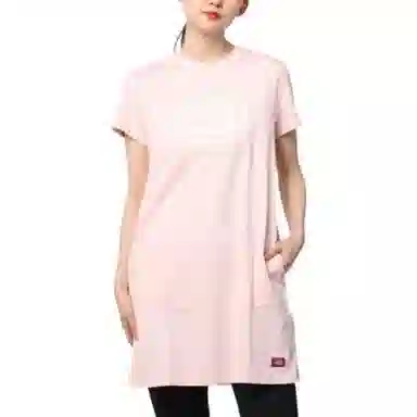Dickies SS21 logot