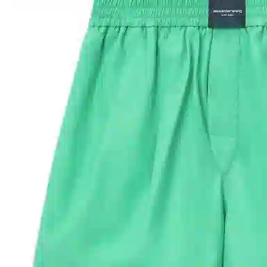 Alexander Wang Shorts Green