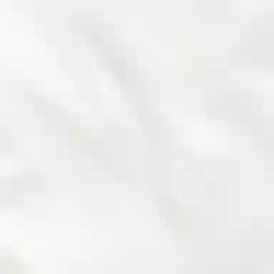 Polo Ralph Lauren Logo T