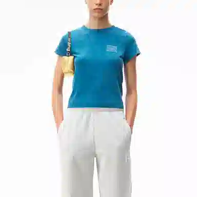 alexander wang SS21 T