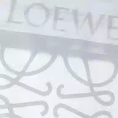 LOEWE FW23 T