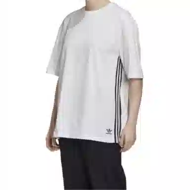 adidas originals Graphic Tee T