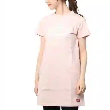 Dickies SS21 logot