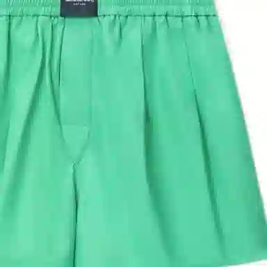 Alexander Wang Shorts Green