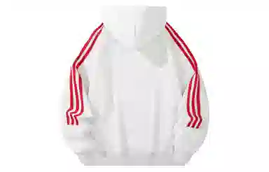 PAEFA logo
