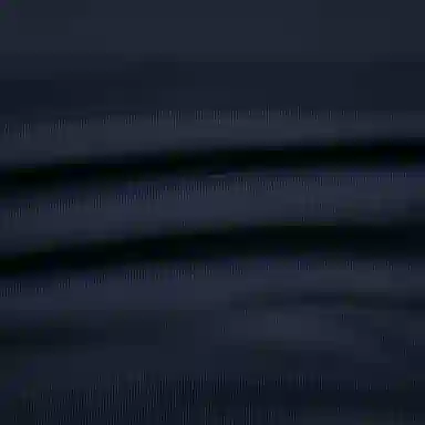 COACH FW22 Letter Print Half-Zip Sweatshirt Navy