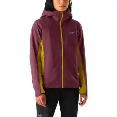 Arcteryx GAMMA