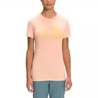 THE NORTH FACE SS22 LogoT