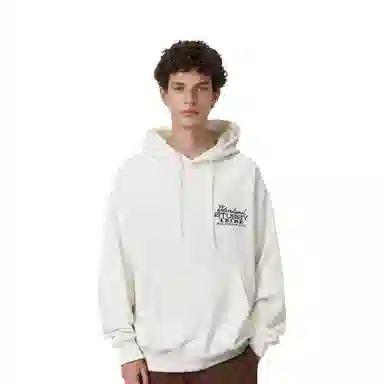 Stussy FW23 Ist Hoodie Pigment Dyed