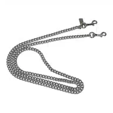 COACH Straps Silver
