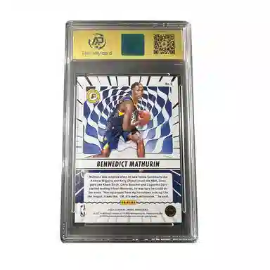 PANINI hoops 9.5