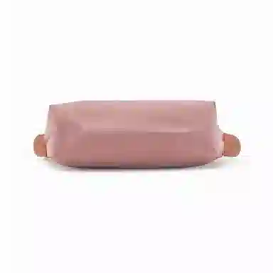 Longchamp Le Pliage Mini