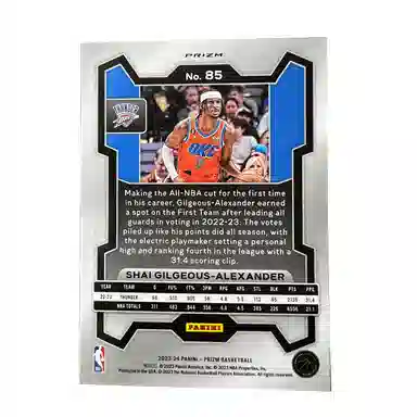 PANINI sga prizm