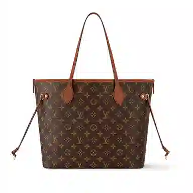 Louis Vuitton Neverfull Monogram