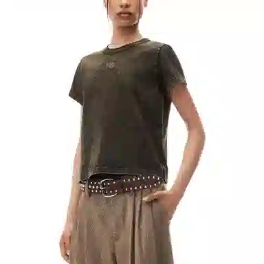 alexander wang LogoT