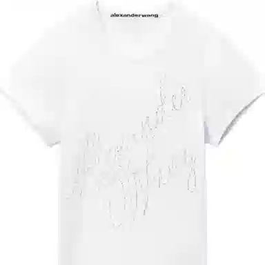 alexander wang FW24 T