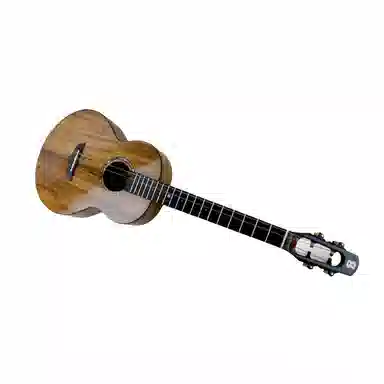 BRIGHT SUN () Baritone(30)