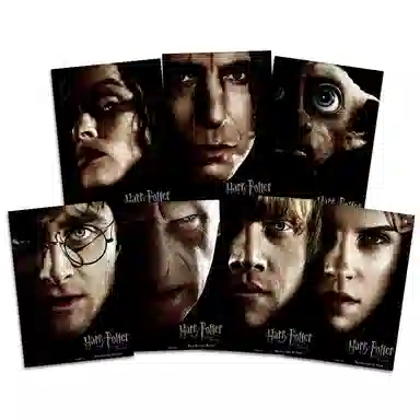 HARRY POTTER 7 30cm*43cm