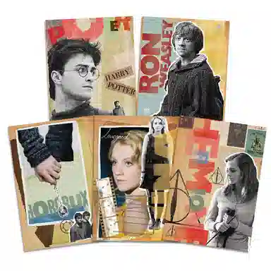 HARRY POTTER Pop Style Poster Set
