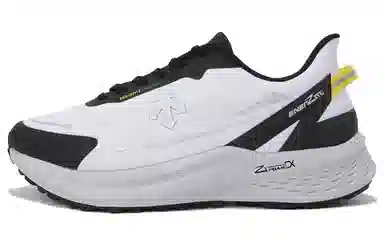 DESCENTE V2