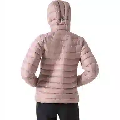 Arcteryx Cerium Hoody Logo