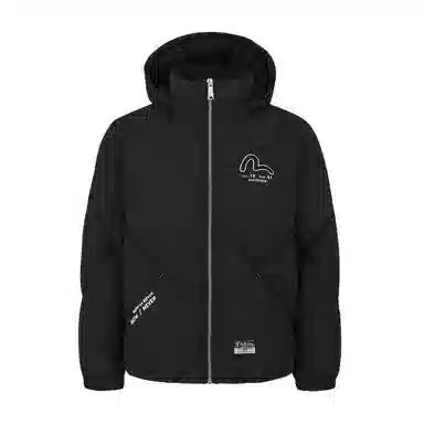 EVISU 2024