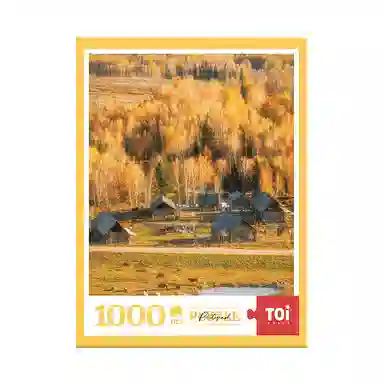 TOI 1000 23295