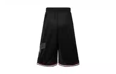 Drew House Hummingbirds Mesh Street Short