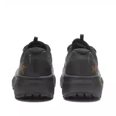 Arcteryx Norvan LD3 GTX