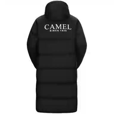 CAMEL