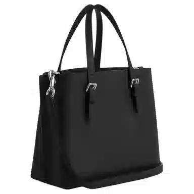 COACH Mollie 25 Tote