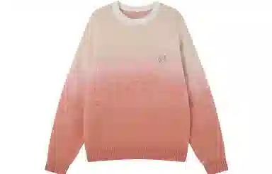 INXX APYD Sweater