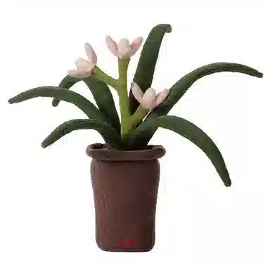 43cm