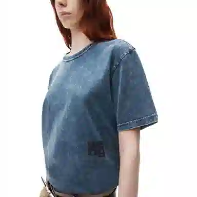 alexander wang FW24 T