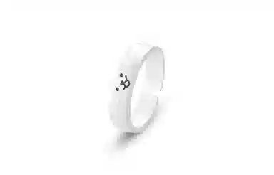 XIOW ins S925
